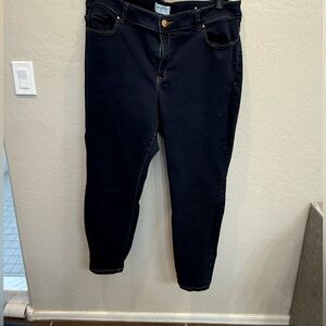 Lane Bryant Jeans